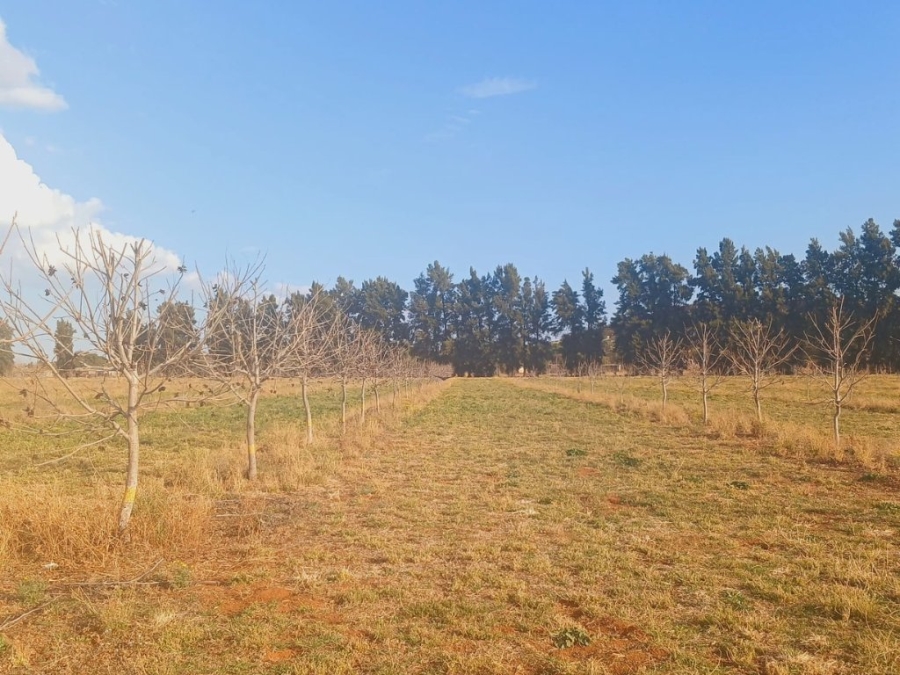 6 Bedroom Property for Sale in Hartswater Northern Cape